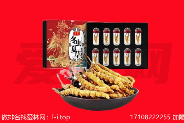 邢台广宗县回收虫草.jpg